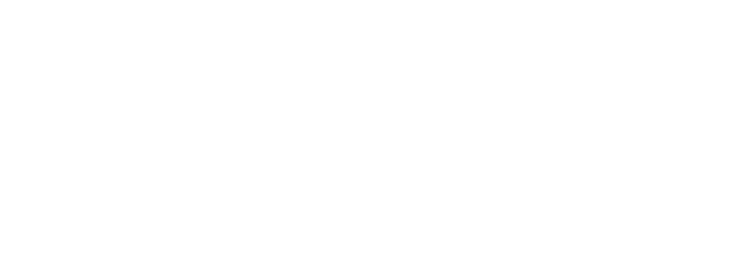 Scientic