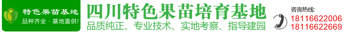 首页