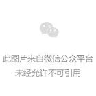 微信排版编辑器