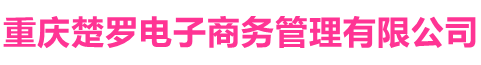 网站技术开发