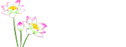 花韵家园