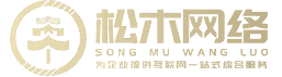 松木网络