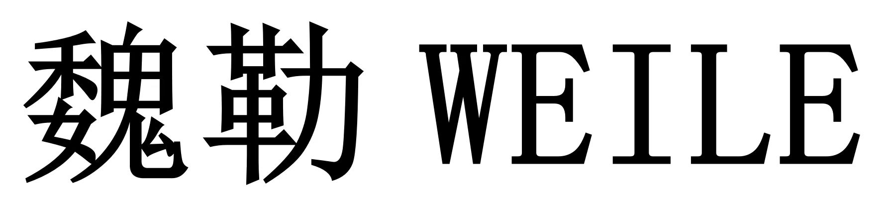 苏州魏勒联接科技有限公司