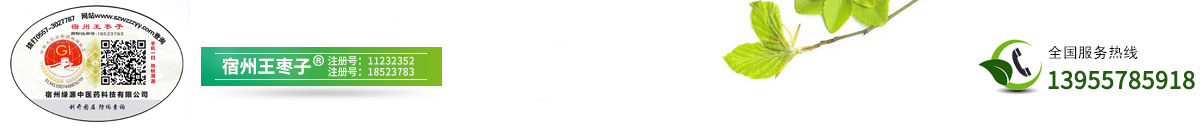 宿州绿源中医药科技有限公司