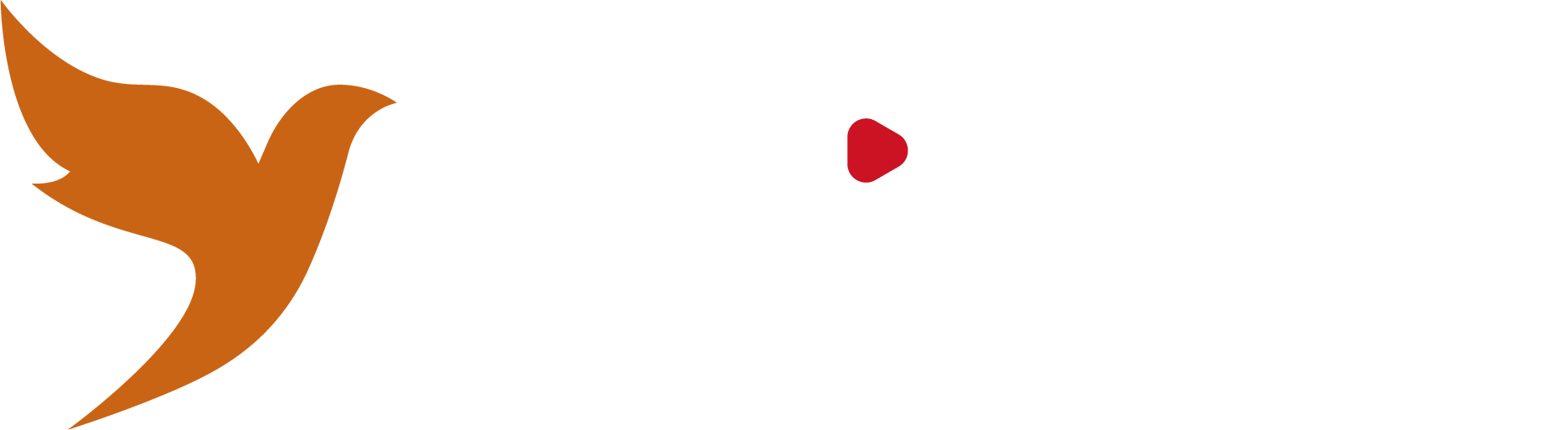 天津宣传片制作公司