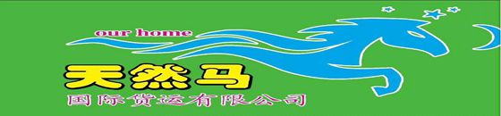 广州天然马国际货运代理有限公司