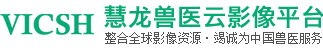 慧龙兽医云影像平台