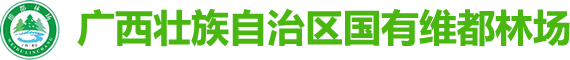 广西壮族自治区国有维都林场