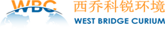 合规调查