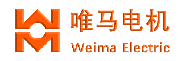 上海唯马电机