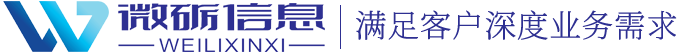上海微砺信息科技有限公司