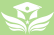学霸养成计划