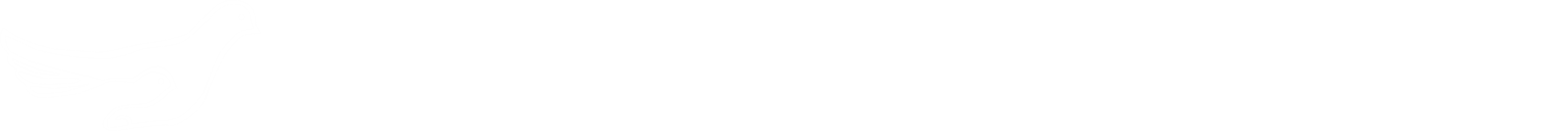 深圳辛宽魔幻艺术团