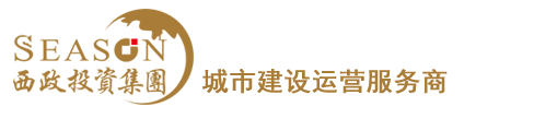 西政投资集团