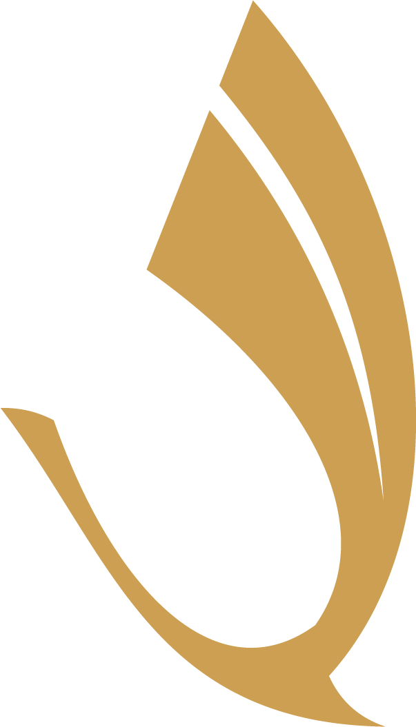 广州雅帆医疗健康科技有限公司