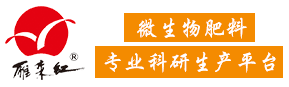 山东省滨州雁来红生物工程有限公司