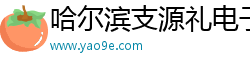 哈尔滨支源礼电子科技有限公司