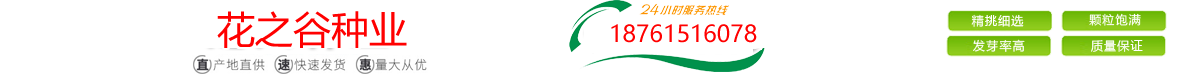 花之谷种业