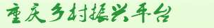 重庆乡村振兴平台