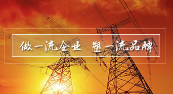 乐清市南高电气开关厂