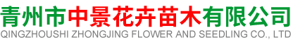 青州市中景花卉苗木有限公司