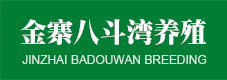 安徽土鸡批发