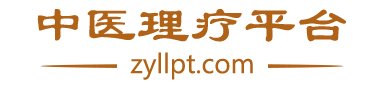 中医理疗平台